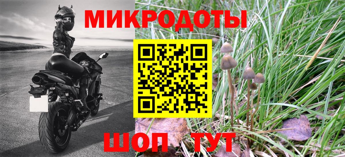 Петрозаводск  наркота  Вход с VPN  Псилоцибиновые грибы Psilocybe 