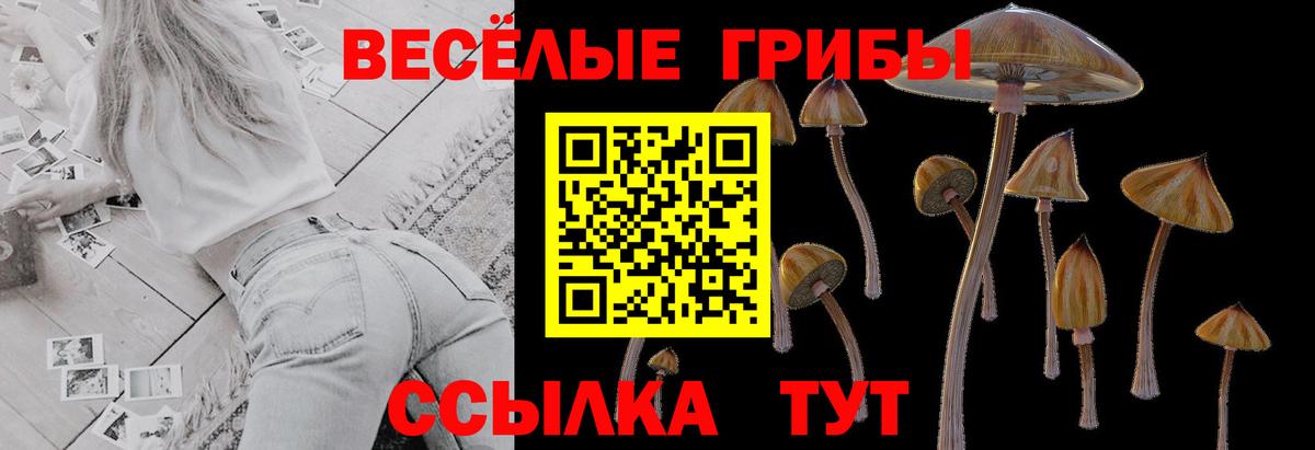 Псилоцибиновые грибы мицелий Петрозаводск